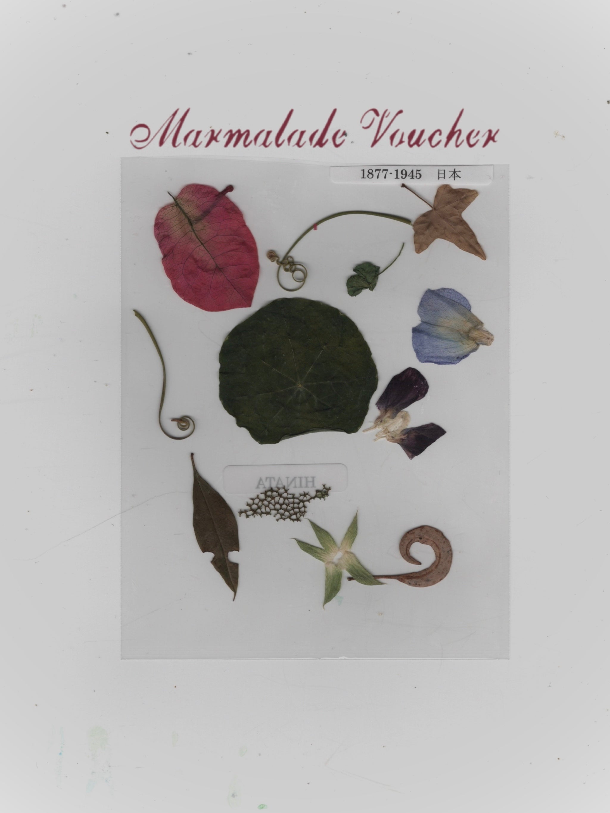 Marmalade Voucher