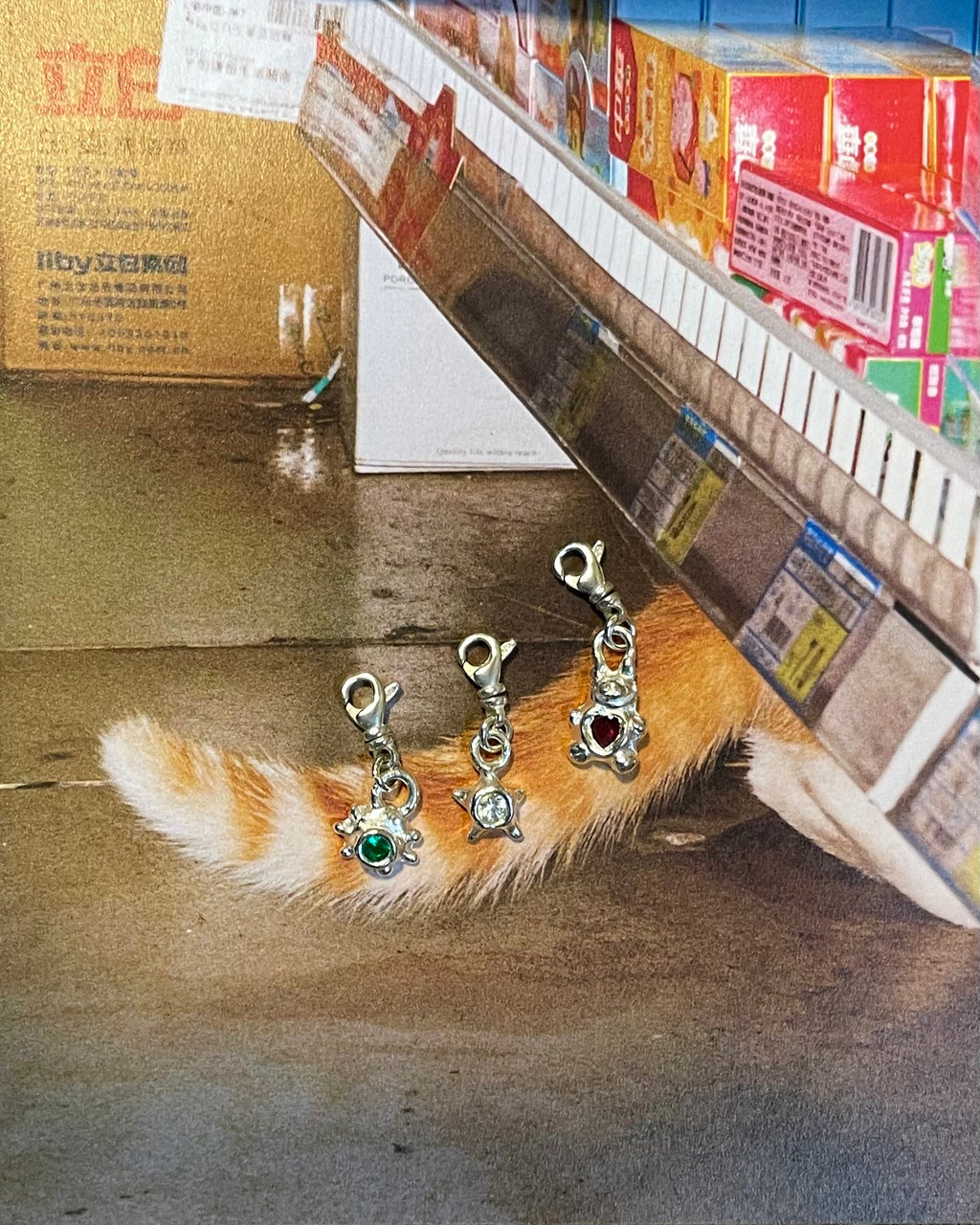 打造专属魅力